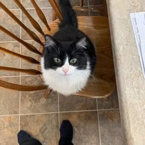 Meet your Posher, Rhonda